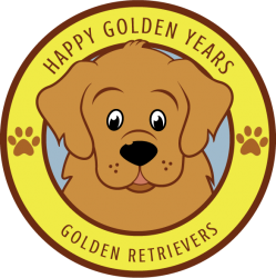 Happy Golden Years Golden Retrievers