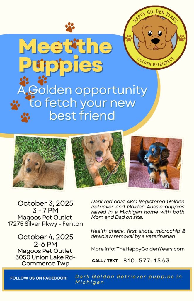 Meet the Puppies event flyer